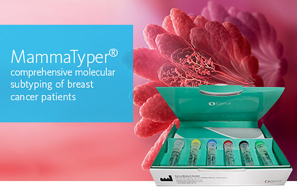 [Sysmex SA (english)] MammaTyper® comprehensive molecular subtyping of breast cancer patients